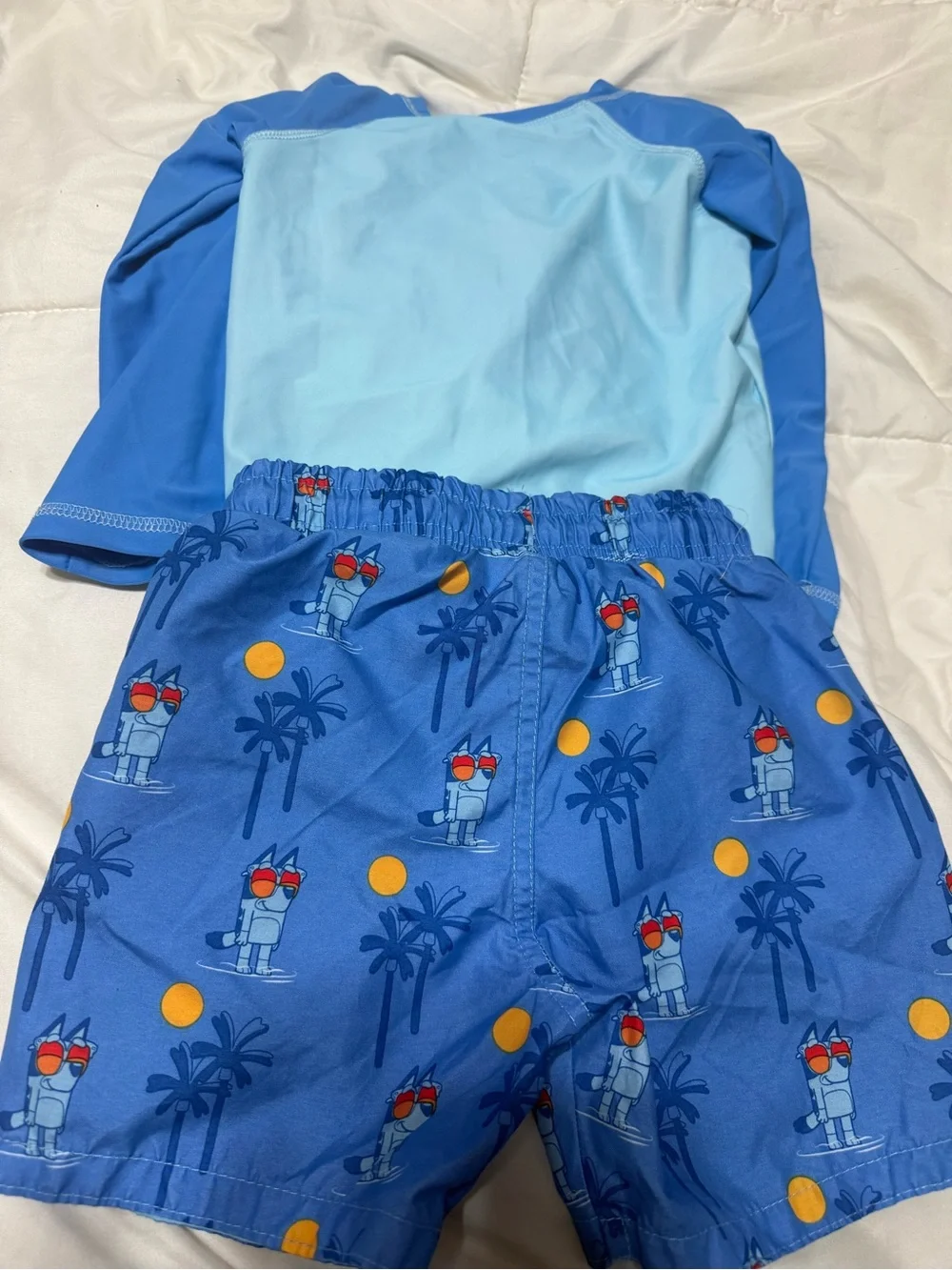 Bluey 3T  Boys swim trunks Rash Guard Set - Blue